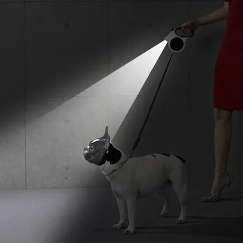 LAISSE QUI S'ALLUME RETRACTABLE