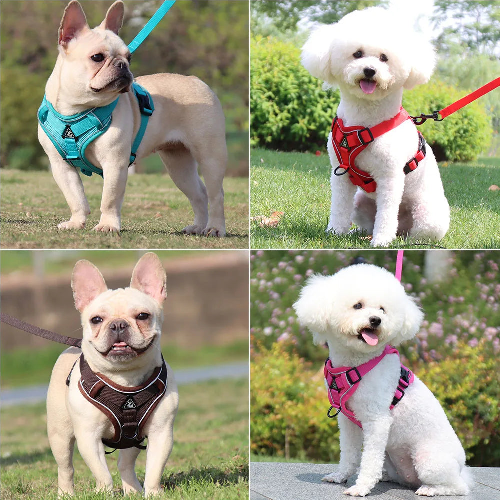 HARNAIS POUR CHIEN (PLUSIEURS COULEURS DISPONIBLES )