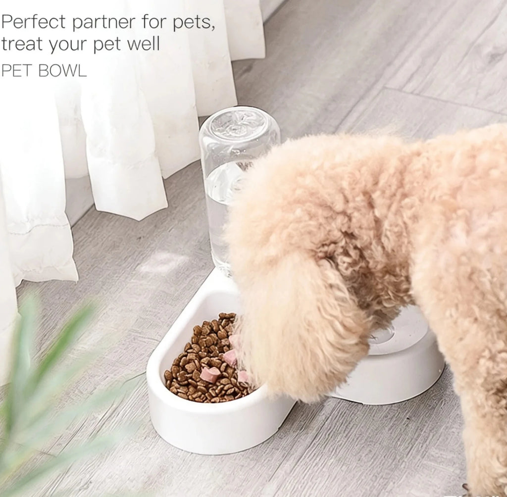 GAMELLE POUR CHIEN ( EAU INCLUS DEDANS )