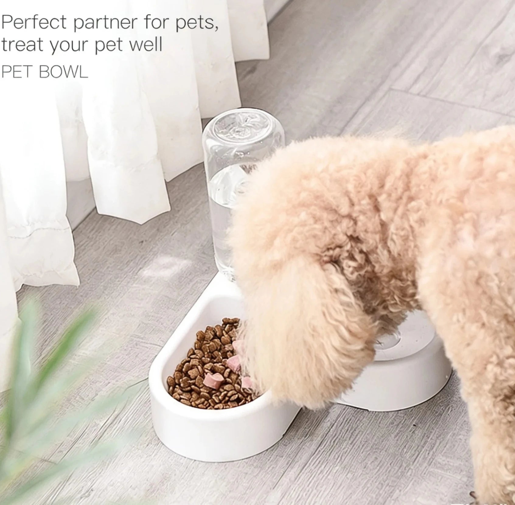 GAMELLE POUR CHIEN ( EAU INCLUS DEDANS )