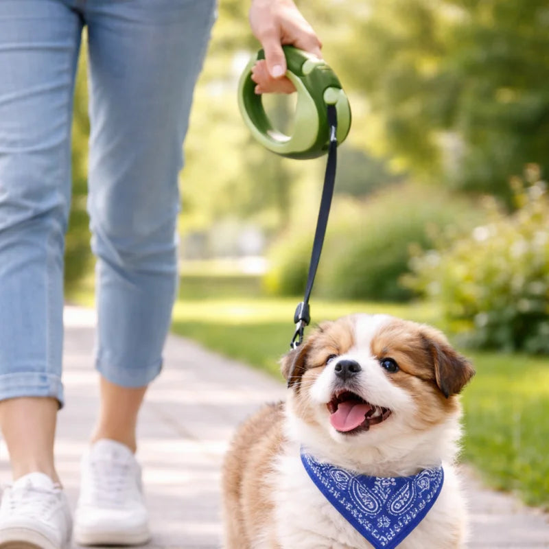 LAISSE POUR CHIEN RETRACTABLE VERT