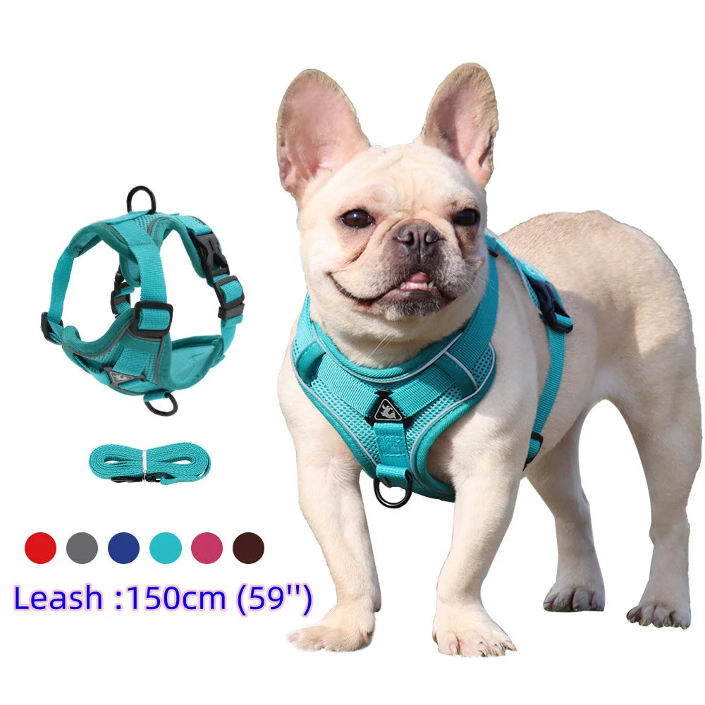 HARNAIS POUR CHIEN (PLUSIEURS COULEURS DISPONIBLES )