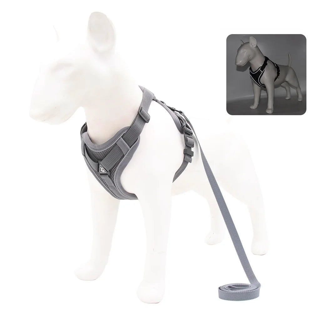 HARNAIS POUR CHIEN (PLUSIEURS COULEURS DISPONIBLES )