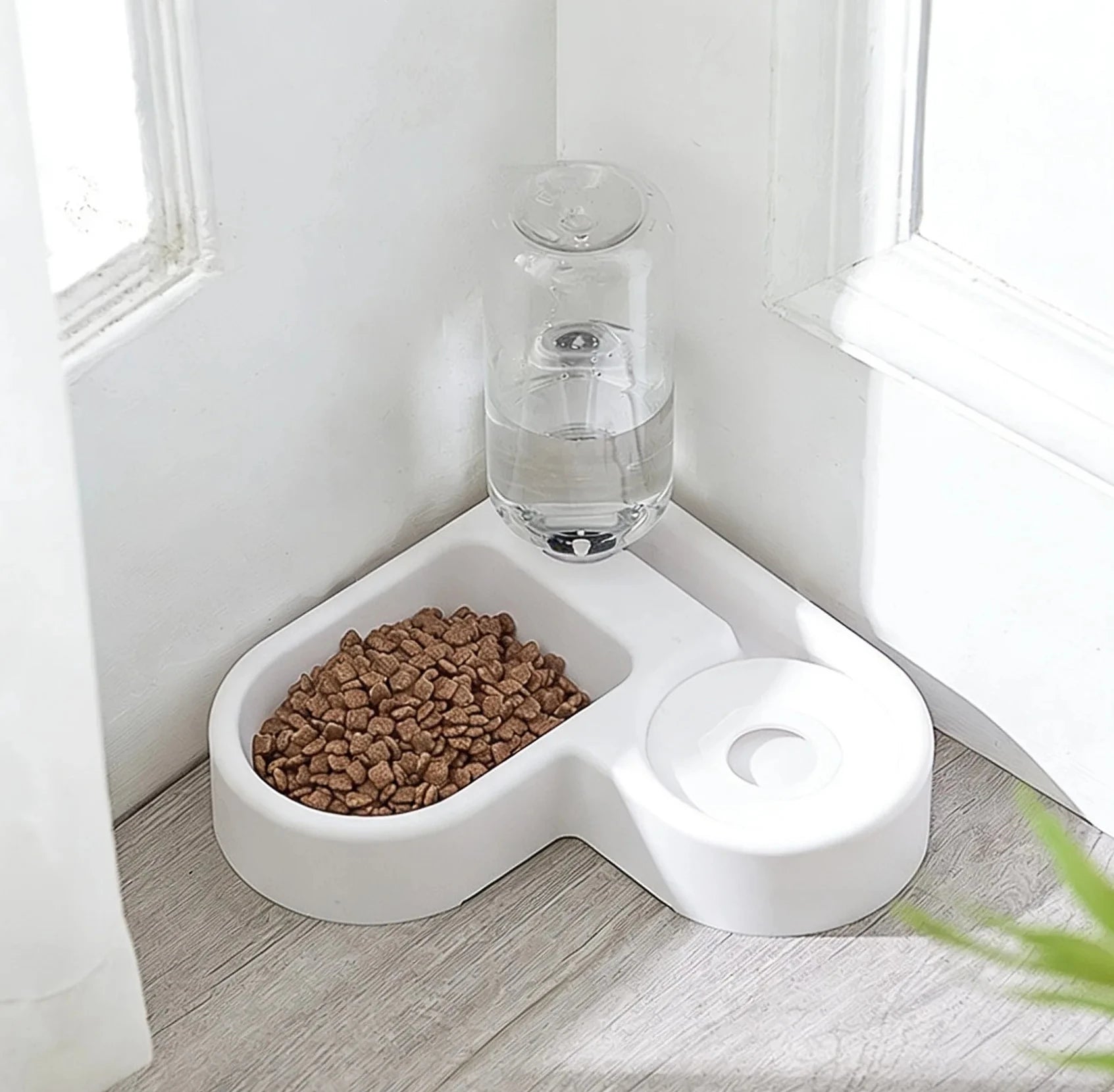 GAMELLE POUR CHIEN ( EAU INCLUS DEDANS )